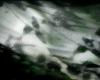 Life on the Edge of Perception: Immobility in Recent Video Installations
