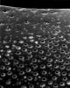 Interpreting the Microcosm through Photographs