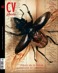 Color photo: close up of an insect stuck with a needle on a plank covered with printed words